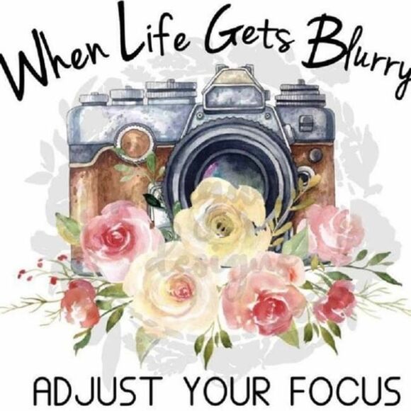 10/$25🦋 Forever 21 Gray & Black Striped Short Sleeve Crop Top - Size Large - Picture 13 of 13